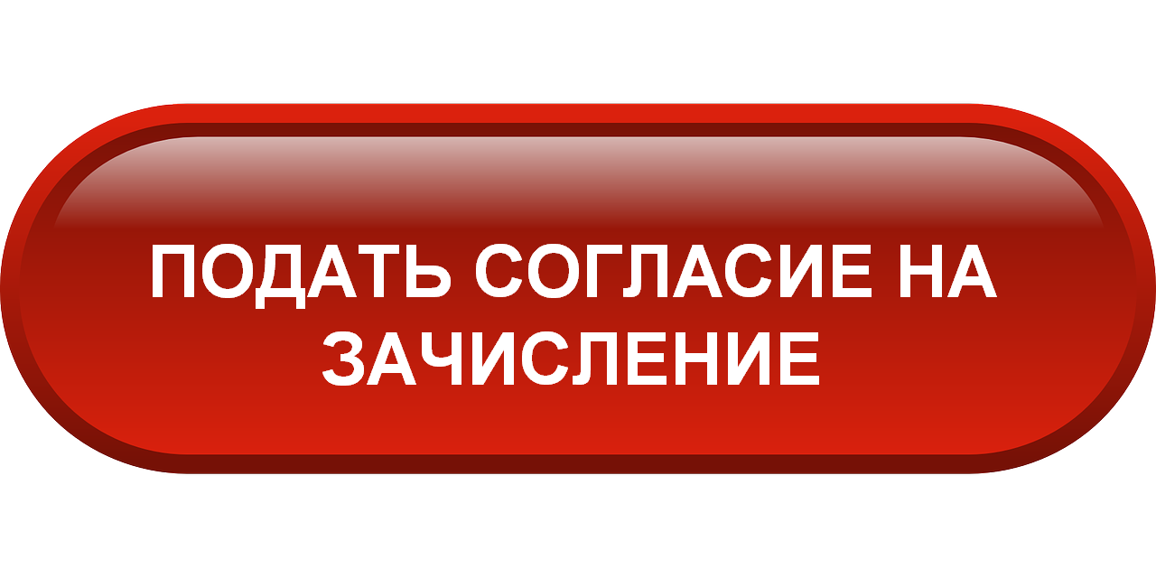 red 23955 1280