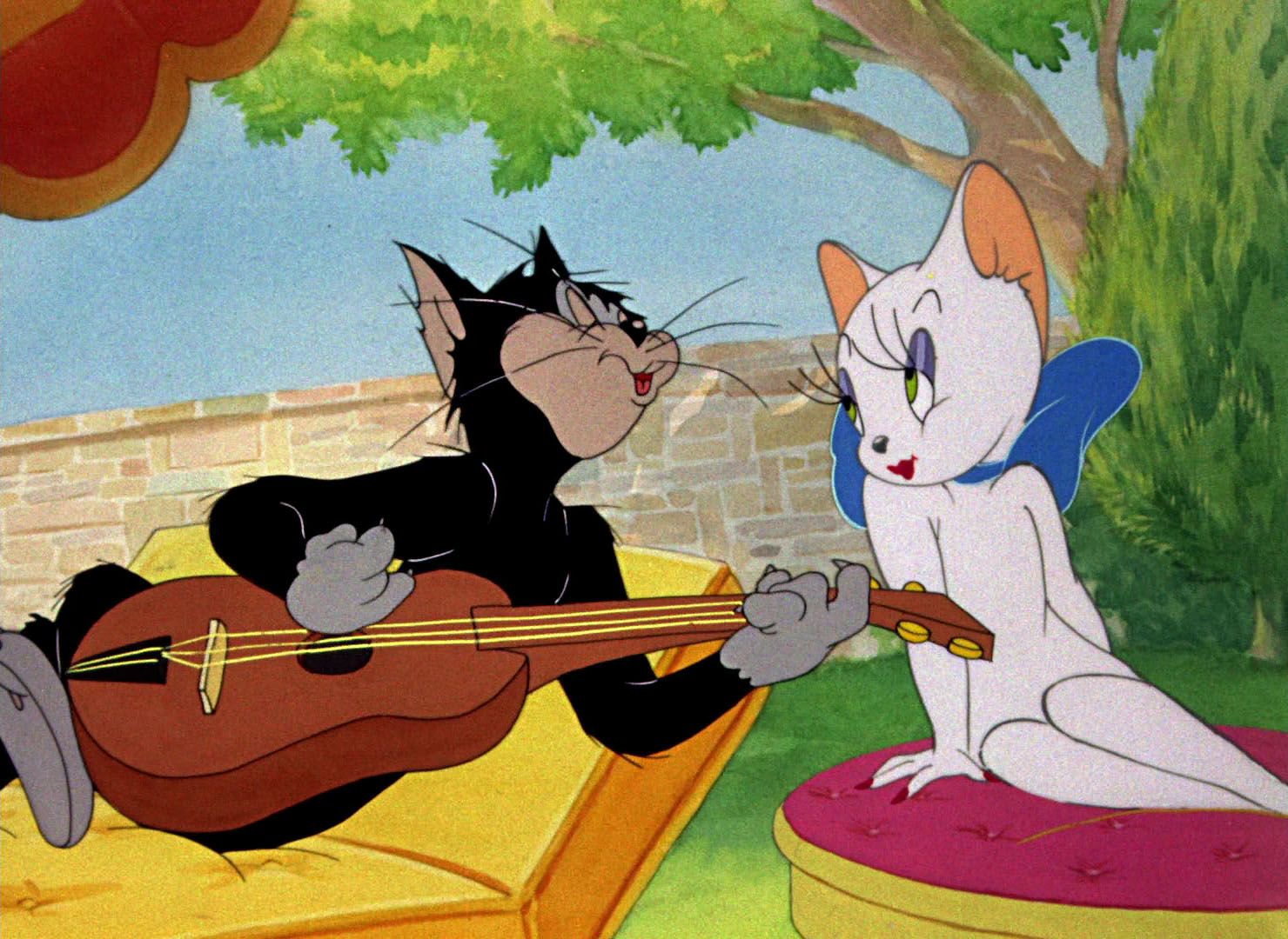 Игра поющий том. Том и Джерри кошечка. Том с гитарой. Кот том с гитарой.